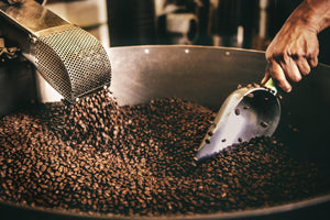 The Frothy Cup gallery